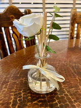 Amanda L. — Chicago, IL ⭐⭐⭐⭐⭐ review photo