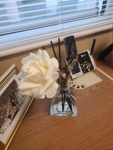 The Reading Nook (B. Thompson) review photo