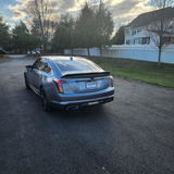 William Rohlfing review photo