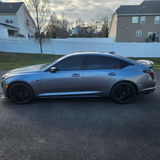 William Rohlfing review photo