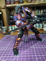 Travis Nave review photo