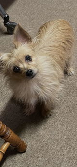 Darlene L. review photo