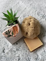 Delphine DARRE review photo