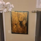 CRAIG B. review photo