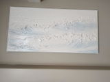 Douglas H. review photo