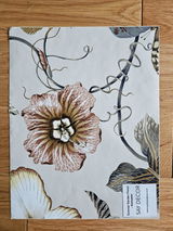 Kathy Krause review photo