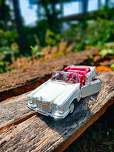 Vipin review photo