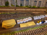howard Renshaw review photo