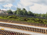 Mark Worboys review photo