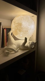 Silvia Calo' review photo