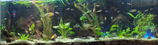 Christinepurcell2013@gmail.com review photo