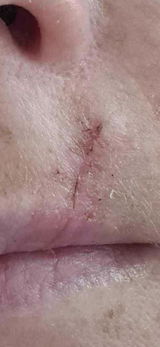 Lee review photo