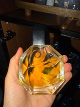 Shahrzad T. review photo