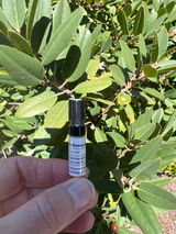 Casseopeia review photo
