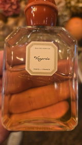 Vortega review photo