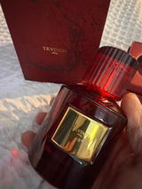 Ivan N. review photo