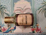 Sameer Thakur review photo