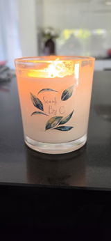 Erin review photo