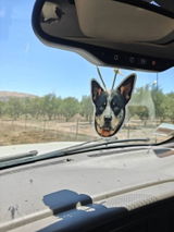 Etsy customer review photo