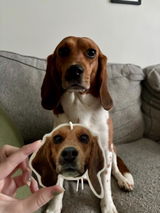 Etsy customer review photo
