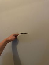 Anonym review photo
