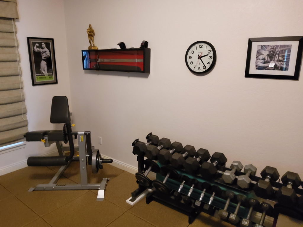 Model 2004 Lifting Belt