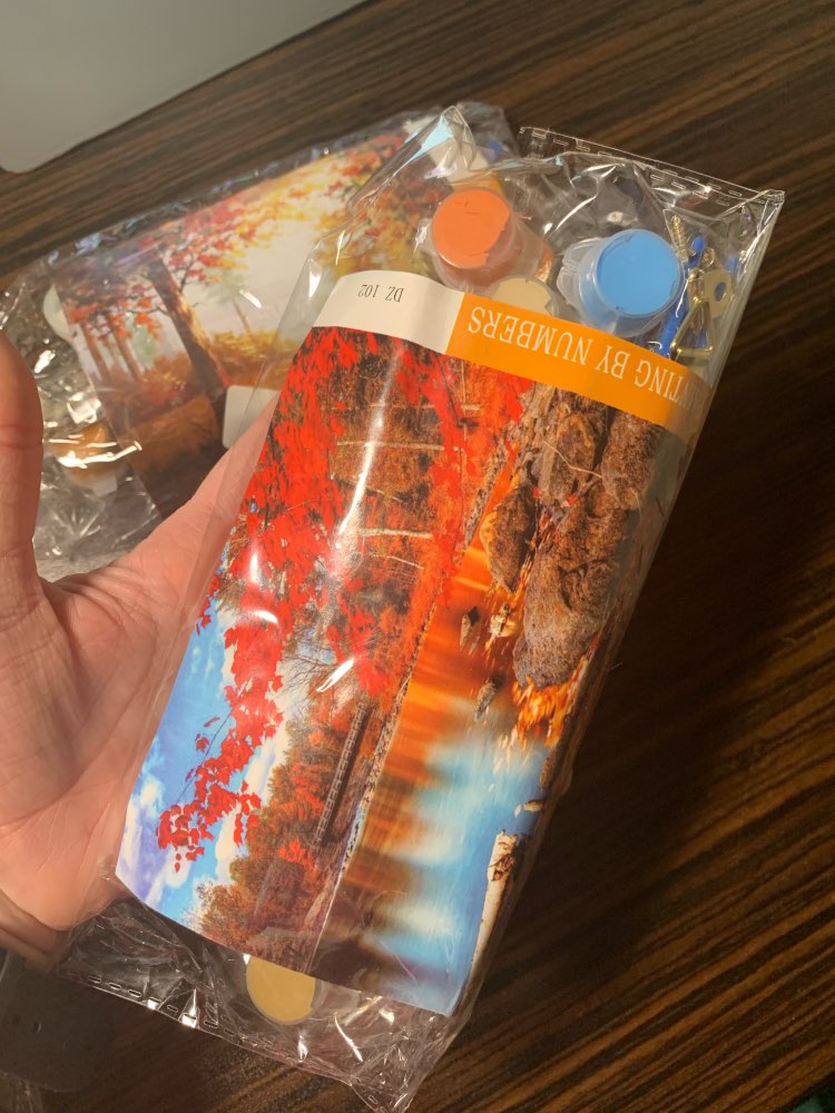 Sophia review photo
