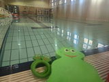 Katja T. review photo