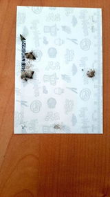 Wolfgang review photo