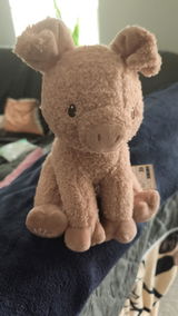 Rene M. review photo
