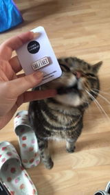 Molly review photo