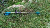 Alessandro B. review photo