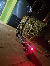 Max Harling review photo
