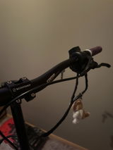 Loke Alexander review photo