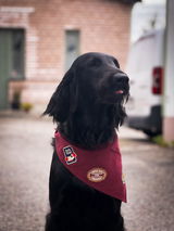 Molly review photo