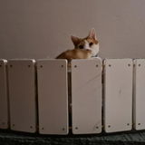 Oona review photo