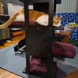 Oona review photo