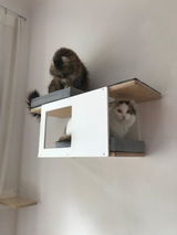 Oona review photo
