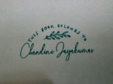 Chandini Jayakumar review photo