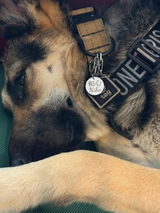 Allie review photo