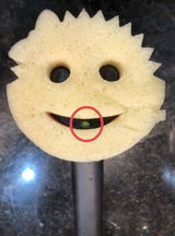 Michele review photo