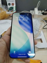 dhilemon review photo