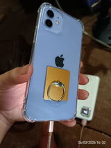 Alex Filex Casimir. review photo