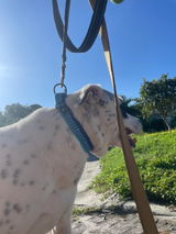 Pember H review photo