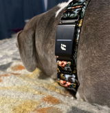 Nicole S review photo