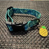 Donna H review photo