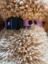 Alaina B review photo