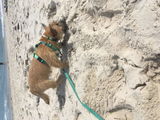 Kona S review photo
