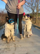 Laurin D review photo