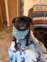 Pretty Monarchs bandana
